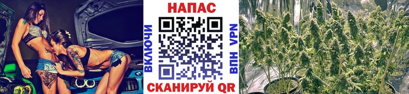 Купить наркотики Шебекино Cocaine Alpha PVP МЕФ ГАШИШ МАРИХУАНА