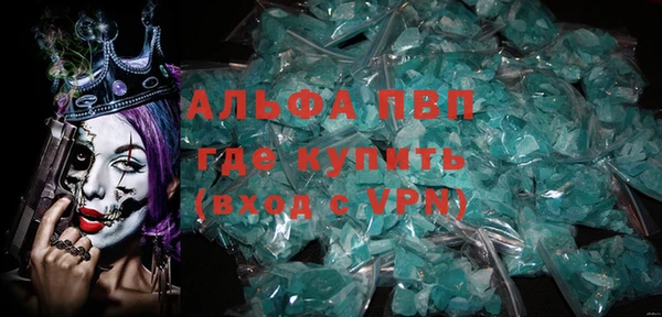 индика Сясьстрой