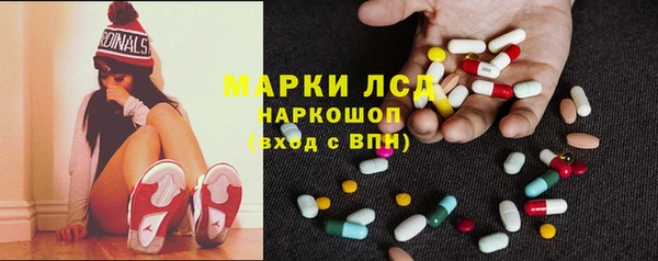 спайс Кулебаки
