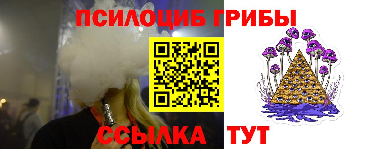 Галлюциногенные грибы Psilocybine cubensis Шебекино